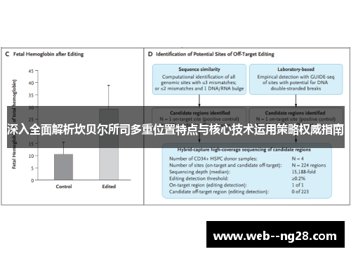 深入全面解析坎贝尔所司多重位置特点与核心技术运用策略权威指南