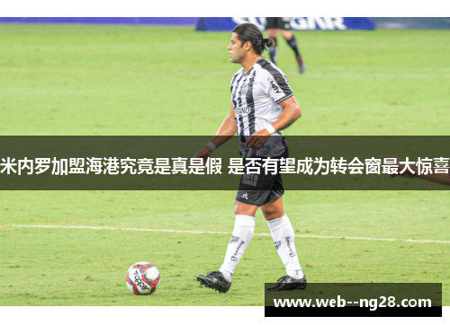 米内罗加盟海港究竟是真是假 是否有望成为转会窗最大惊喜