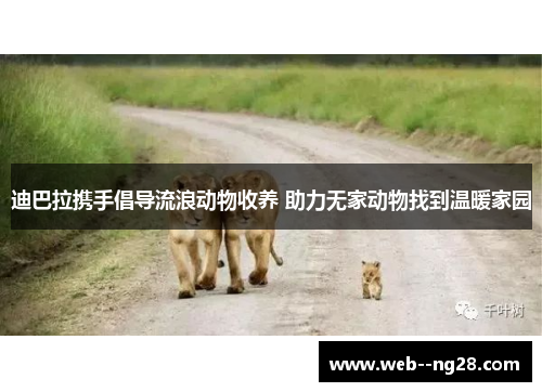 迪巴拉携手倡导流浪动物收养 助力无家动物找到温暖家园